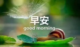 早安晨曲短视频,共赴美好新一天——早安晨曲短视频赏析